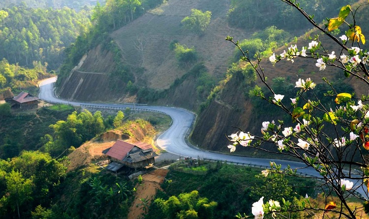 Đèo Pha Đin Điện Biên