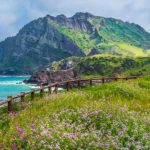 Vé máy bay đi Jeju