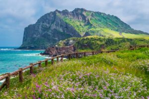 Vé máy bay đi Jeju
