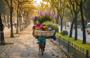 Vé máy bay từ Phú Quốc đi Hà Nội giá rẻ hấp dẫn tại Vietnam Booking