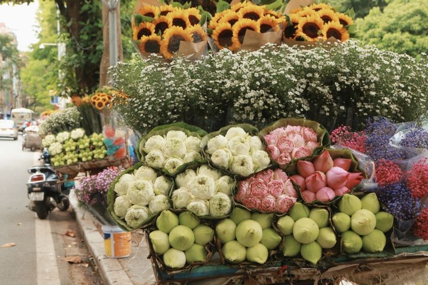 M&ugrave;a Thu H&agrave; Nội l&agrave; thời điểm đẹp v&agrave; t&igrave;nh nhất trong năm