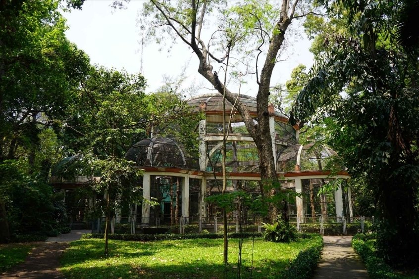 V&eacute; m&aacute;y bay từ Chu Lai đi TP. Hồ Ch&iacute; Minh &ndash; Kh&aacute;m ph&aacute; Thảo Cầm Vi&ecirc;n, vườn th&uacute; l&acirc;u đời nhất thế giới