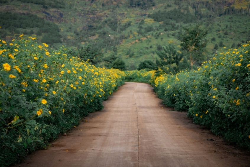 Bu&ocirc;n Ma Thuột c&oacute; kh&iacute; hậu hai m&ugrave;a mưa &ndash; kh&ocirc; r&otilde; rệt, mỗi m&ugrave;a mang n&eacute;t ri&ecirc;ng thu h&uacute;t du kh&aacute;ch