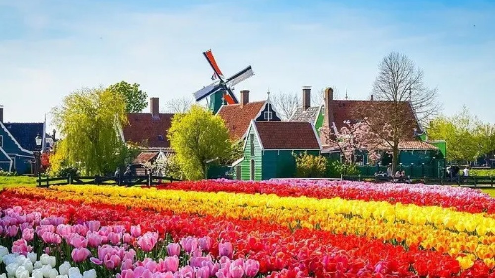du lịch h&agrave; lan amsterdam