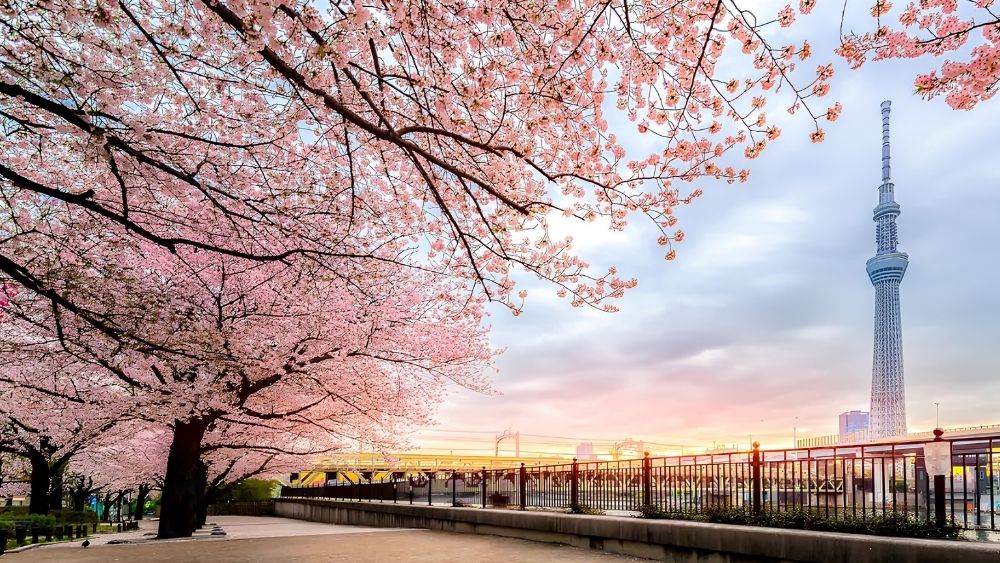 Du lịch Tokyo