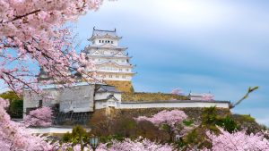 Vé máy bay từ Hà Nội đi Tokyo giá rẻ | Lịch bay, bảng giá mới nhất