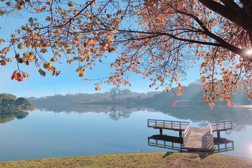 Hồ Xu&acirc;n Hương &ndash; Biểu tượng Đ&agrave; Lạt, điểm dạo bộ l&yacute; tưởng b&ecirc;n rặng mai anh đ&agrave;o rực rỡ