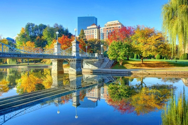 Boston Public Garden &ndash; điểm dừng ch&acirc;n thư gi&atilde;n giữa l&ograve;ng th&agrave;nh phố