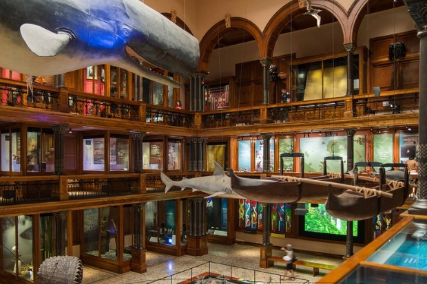 Bishop Museum l&agrave; nơi lưu giữ v&agrave; giới thiệu lịch sử, văn h&oacute;a đặc sắc của quần đảo Hawaii