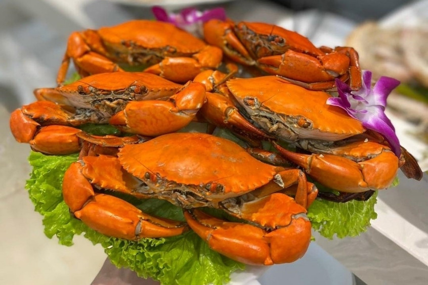 Cua C&agrave; Mau - Được mệnh danh l&agrave; loại cua ngon nhất Việt Nam