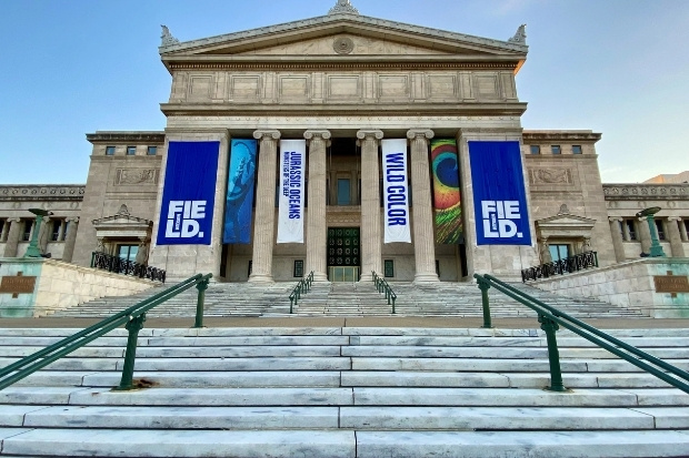 Lối đi rợp bóng cây tại Lincoln Park Zoo với du khách tham quan và động vật sinh sống