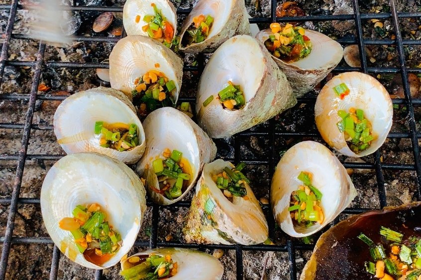 Ốc v&uacute; n&agrave;ng - Loại hải sản qu&yacute; hiếm, nổi tiếng ở v&ugrave;ng biển C&ocirc;n Đảo