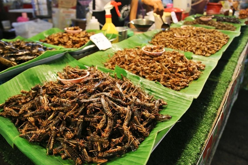 C&ocirc;n tr&ugrave;ng chi&ecirc;n &ndash; Trải nghiệm ẩm thực độc đ&aacute;o tại chợ đ&ecirc;m