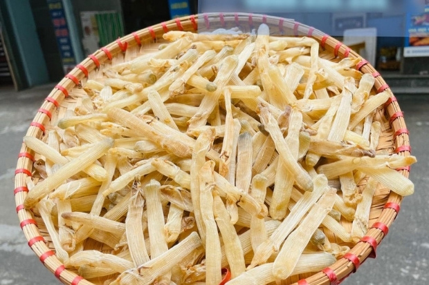 Đặc sản s&aacute; s&ugrave;ng (địa s&acirc;m) kh&ocirc; nức tiếng, loại hải sản qu&yacute; hiếm bậc nhất tại V&acirc;n Đồn, Quảng Ninh