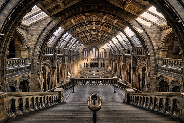 Bảo tàng Lịch sử Tự nhiên