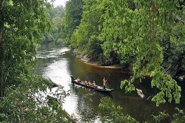 Vườn quốc gia Taman Negara - sông Trengganu  