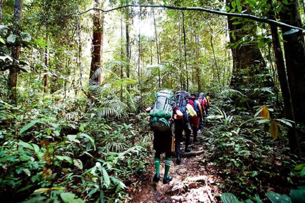 Vườn quốc gia Taman Negara - núi Tahan
