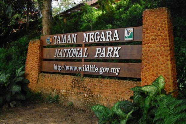 Đến vườn quốc gia Taman Negara bằng cách nào?