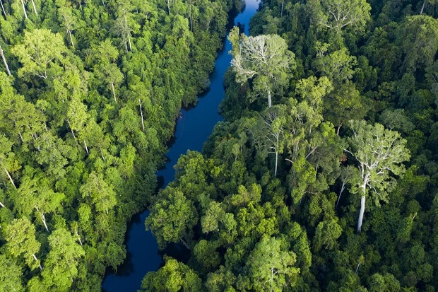 Tham quan vườn quốc gia Taman Negara vào thời điểm nào?