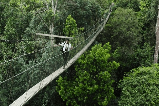 Cầu treo dài nhất thế giới tại vườn quốc gia Taman Negara