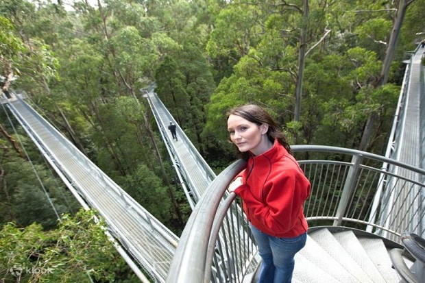 cầu treo The Canopy Treetop Walk gần đảo Manukan