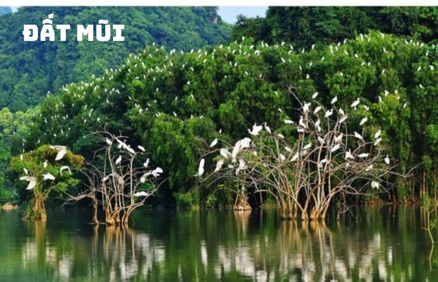 Tour Đà Nẵng Miền Tây 4 Ngày 3 Đêm: Hành Trình Khám Phá Vùng Sông Nước