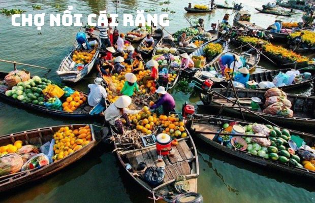 Tour Đà Nẵng Miền Tây 4 Ngày 3 Đêm: Hành Trình Khám Phá Vùng Sông Nước