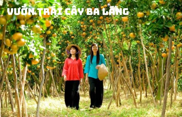 Tour Đà Nẵng Miền Tây 4 Ngày 3 Đêm: Hành Trình Khám Phá Vùng Sông Nước