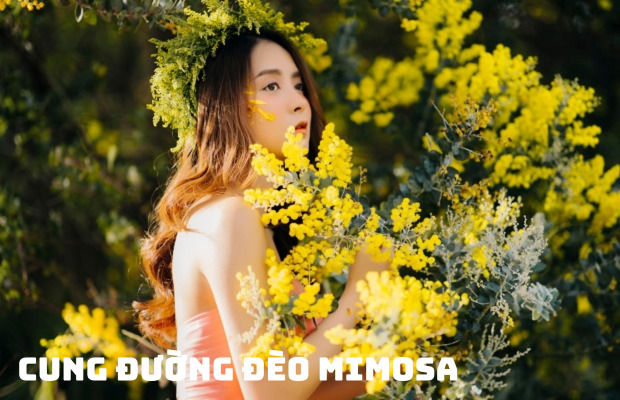 Tour du lịch Đà Lạt thác Pongour Mongoland 3N2Đ | Đèo Mimosa – Mongo Land – Thung Lũng Đèn