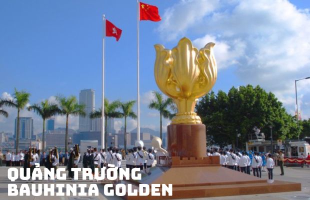 Tour du lịch Hồng Kông dịp Tết khởi hành từ Sài Gòn