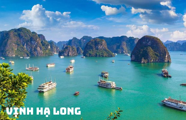 Tour du lịch miền Bắc 5N4D | Hà Nội – Ninh Bình – Vịnh Hạ Long – Sapa