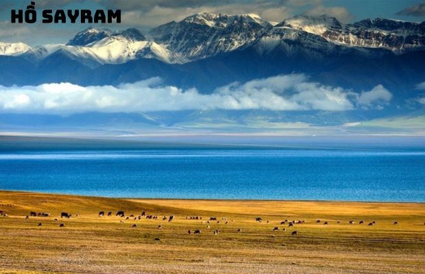 Tour du lịch Tân Cương Trung Quốc 9 ngày 9 đêm – Con đường tơ lụa: Khám phá thảo nguyên ngày hè