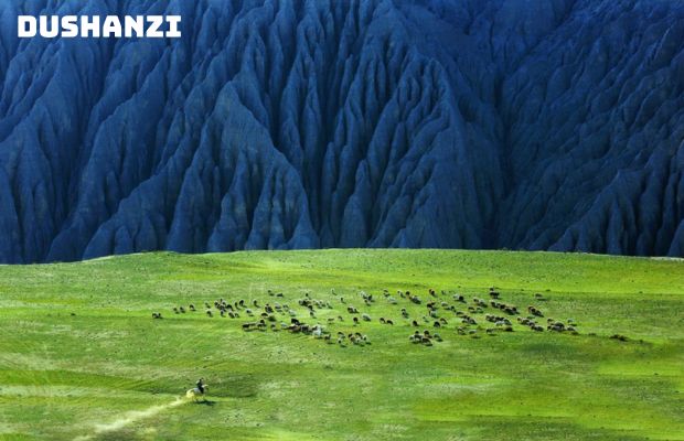 Tour du lịch Tân Cương Trung Quốc 9 ngày 9 đêm – Con đường tơ lụa: Khám phá thảo nguyên ngày hè