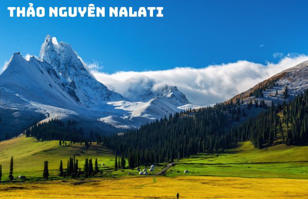 Tour du lịch Tân Cương Trung Quốc 9 ngày 9 đêm – Con đường tơ lụa: Khám phá thảo nguyên ngày hè
