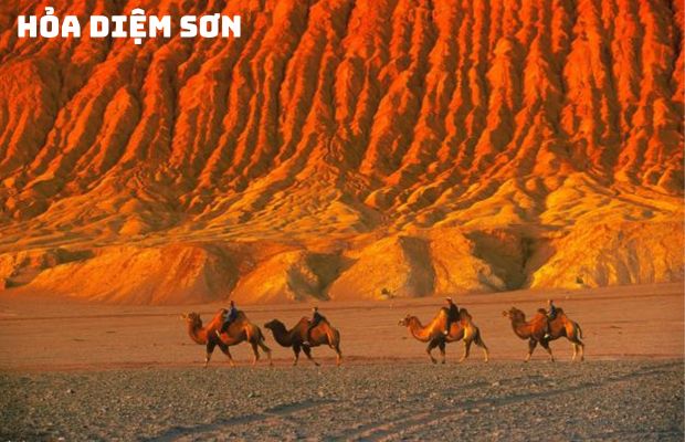 Tour du lịch Tân Cương Trung Quốc 9 ngày 9 đêm – Con đường tơ lụa: Khám phá thảo nguyên ngày hè