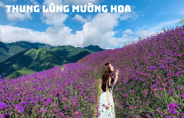 Tour Hạ Long Sapa 4N3Đ từ Đà Nẵng | Vịnh Hạ Long – Bản Cát Cát – Fansipan