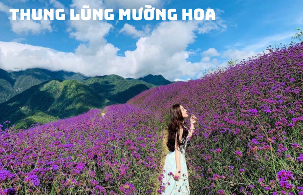 Tour Hạ Long Sapa 4N3Đ từ Đà Nẵng – Khám Phá Vẻ Đẹp Miền Bắc Độc Đáo