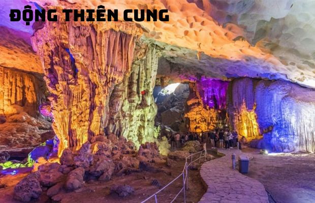 Tour Hà Nội Ninh Bình Hạ Long Yên Tử 6N5Đ | TẶNG vé ngâm chân Dao’s foot