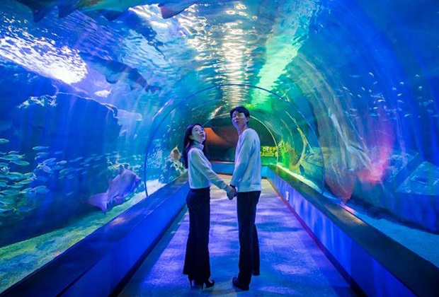 Thủy cung Sealife Busan