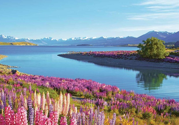 Thi&ecirc;n nhi&ecirc;n New Zealand