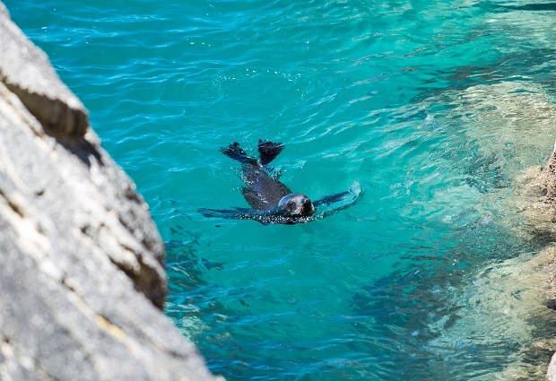 Vườn quốc gia Abel Tasman