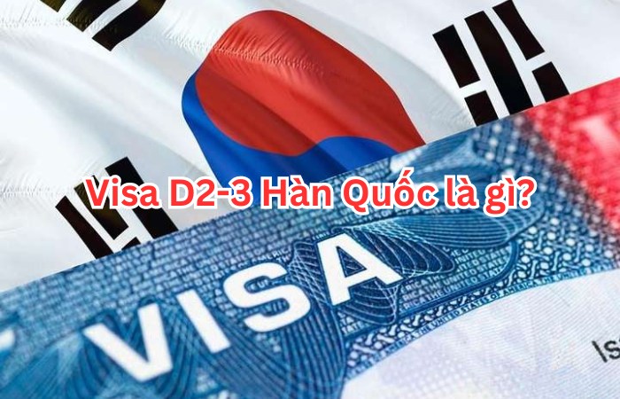Visa D2-3 Hàn Quốc
