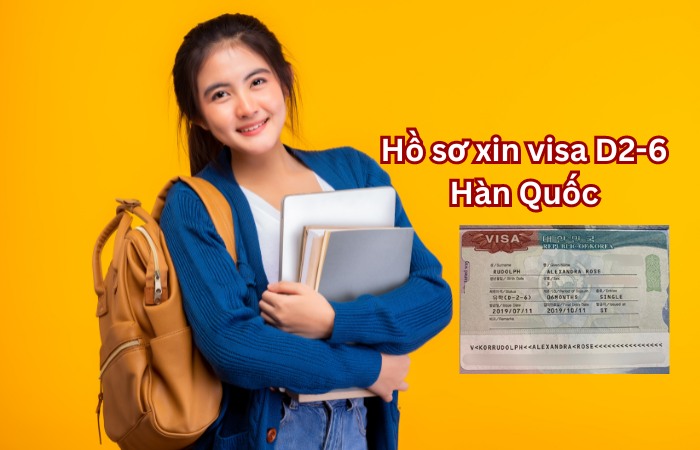 Hồ sơ xin visa D2-6 Hàn Quốc