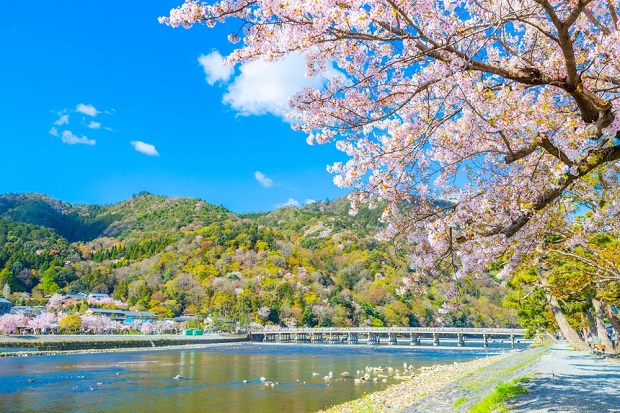 Con đường xuyên rừng tre Arashiyama - Tham quan cầu Togetsukyo
