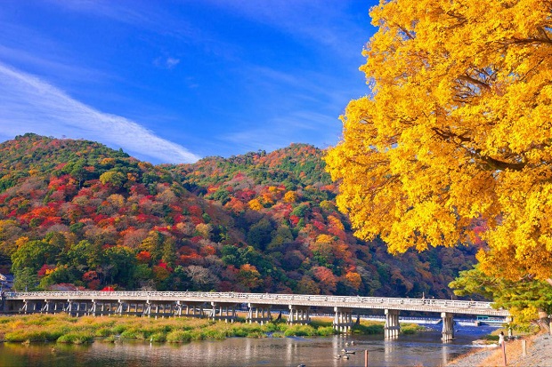 Con đường xuyên rừng tre Arashiyama - Cầu Togetsukyo