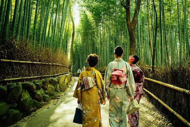 Con đường xuyên rừng tre Arashiyama vào mùa xuân