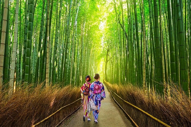Con đường xuyên rừng tre Arashiyama là một biểu tượng văn hóa