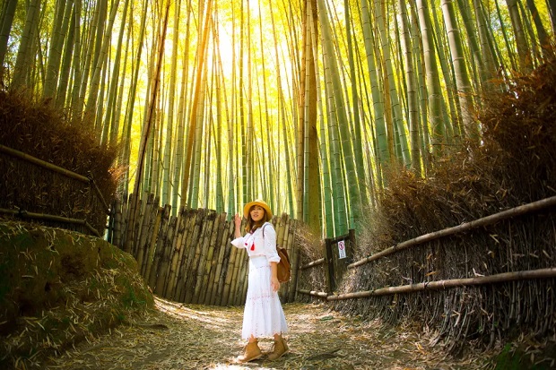 Con đường xuyên rừng tre Arashiyama vào sáng sớm