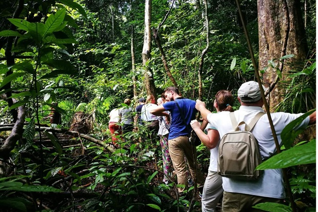 Địa điểm du lịch Malaysia - Rừng nhiệt đới Langkawi