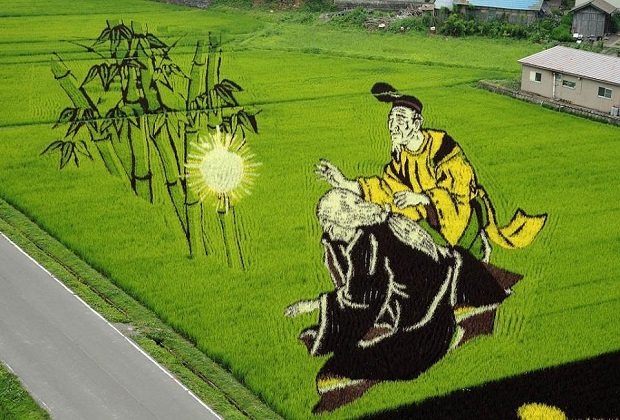điều ngộ nghĩnh chỉ có ở nhật bản - nghệ thuật vẽ tranh trên cánh đồng lúa